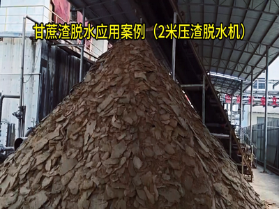 廣西甘蔗渣脫水應(yīng)用
